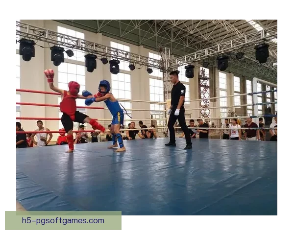 搏击风云：打造最精彩的拳击公开赛